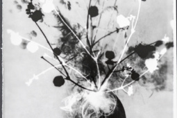 Cantonale 25/26, Musée jurassien des arts à Moutier