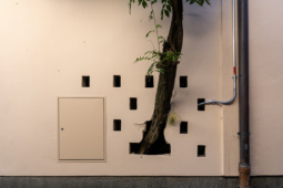 Artists for plants, international call 2025